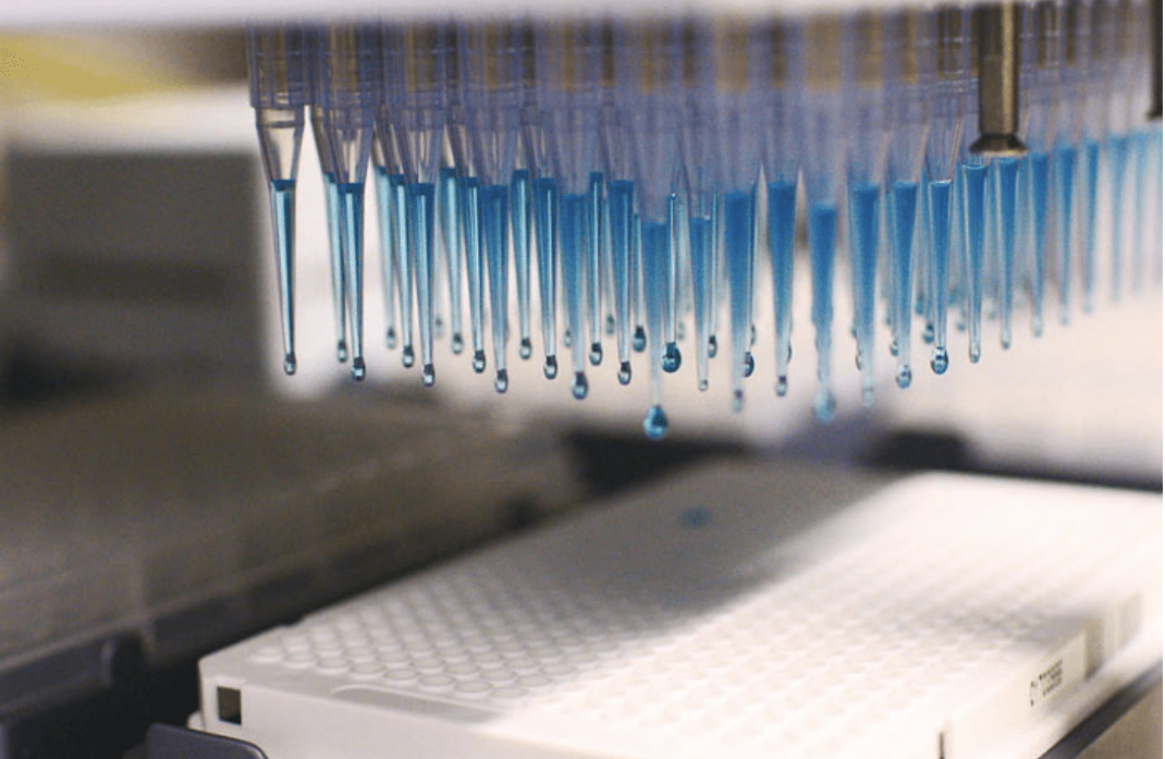 High Throughput Screening Strategies In Drug Discovery Macmillan Group
